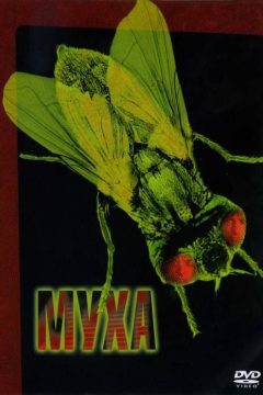Постер фильма «Муха»